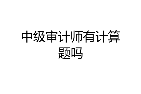 中级审计师有计算题吗