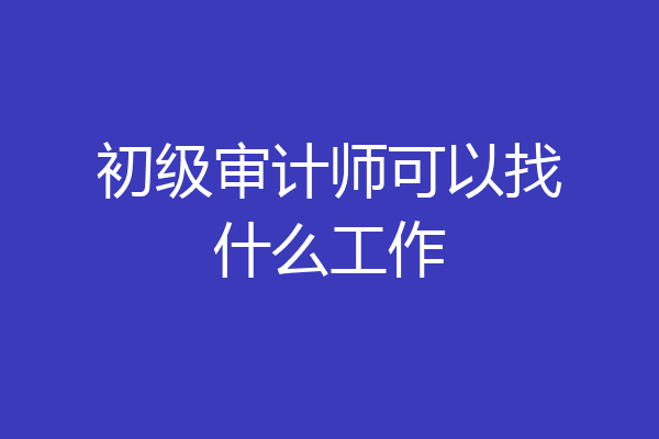 初级审计师可以找什么工作