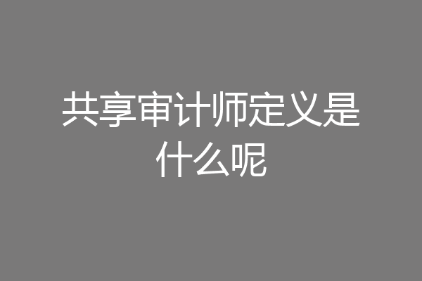 共享审计师定义是什么呢