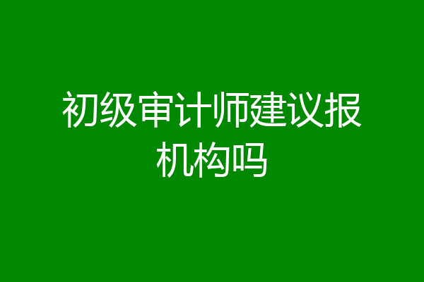 初级审计师建议报机构吗