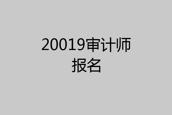 20019审计师报名