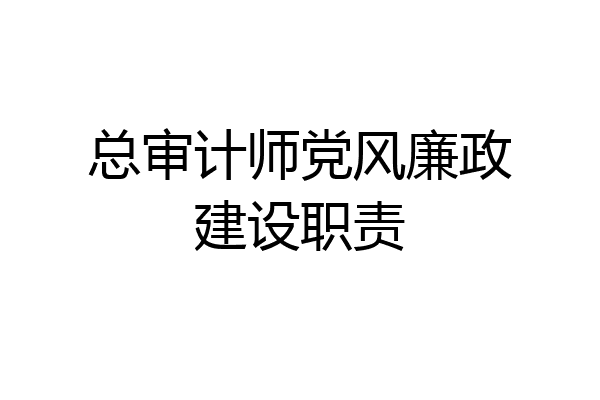 总审计师党风廉政建设职责