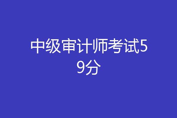 中级审计师考试59分