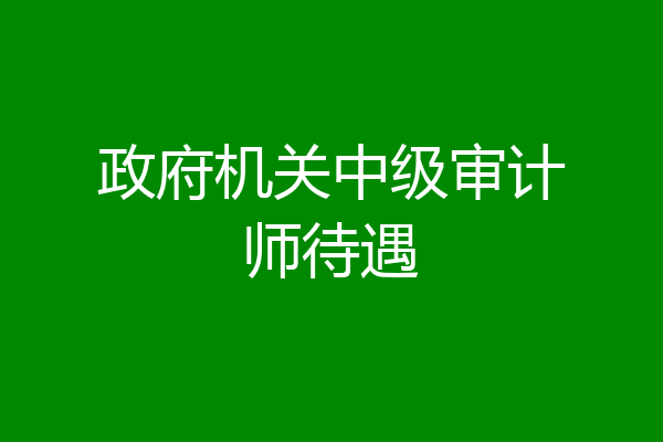 政府机关中级审计师待遇