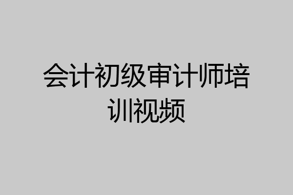 会计初级审计师培训视频