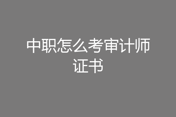 中职怎么考审计师证书