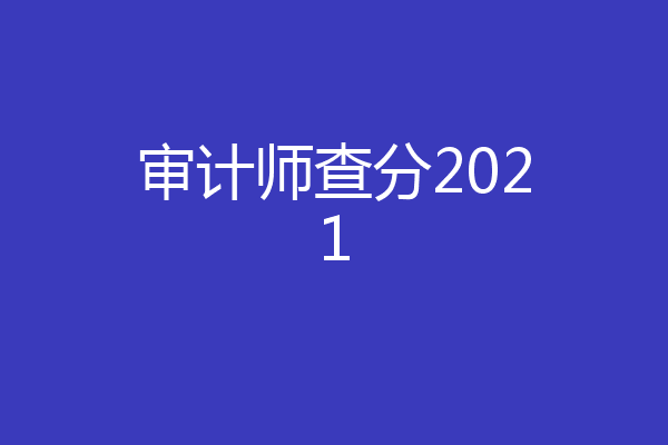 审计师查分2021