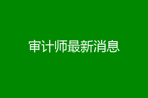 审计师最新消息