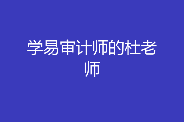 学易审计师的杜老师