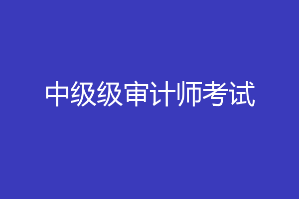 中级级审计师考试