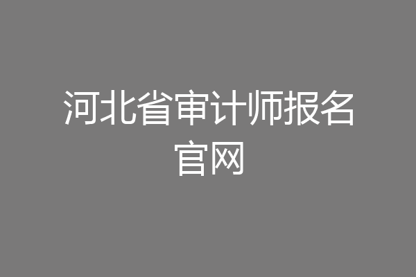 河北省审计师报名官网