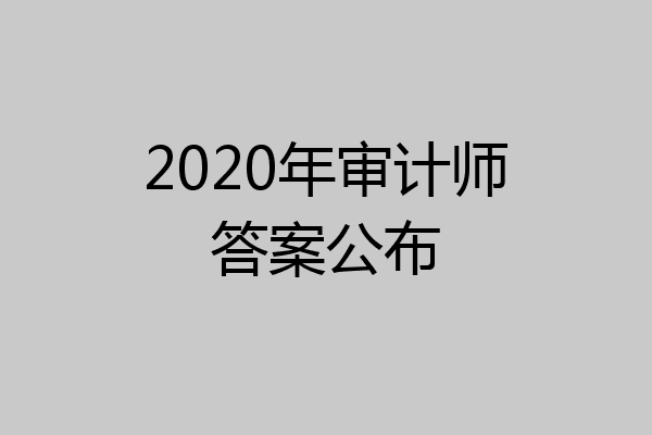 2020年审计师答案公布
