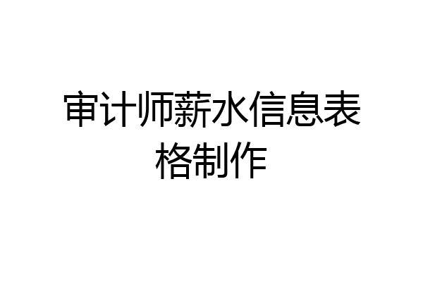 审计师薪水信息表格制作