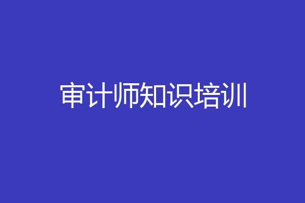 审计师知识培训