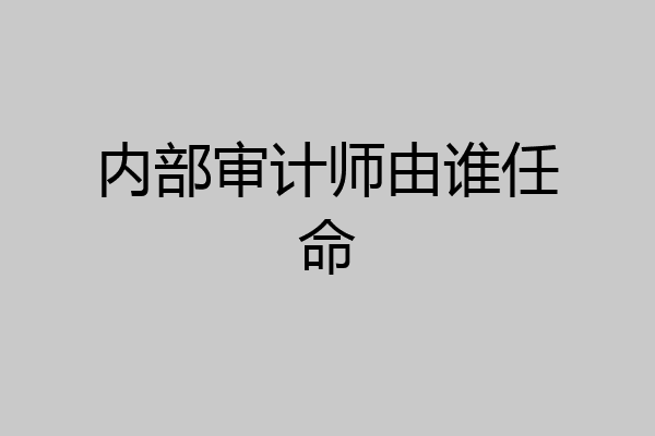 内部审计师由谁任命