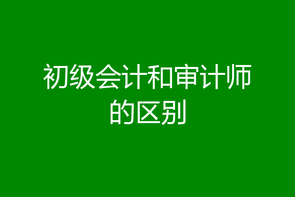 初级会计和审计师的区别