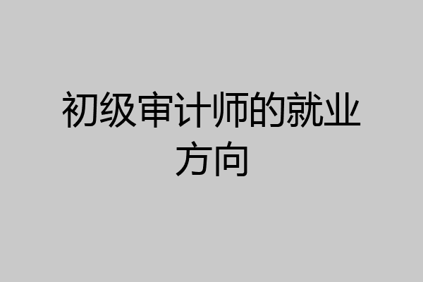 初级审计师的就业方向