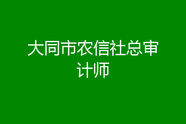 大同市农信社总审计师