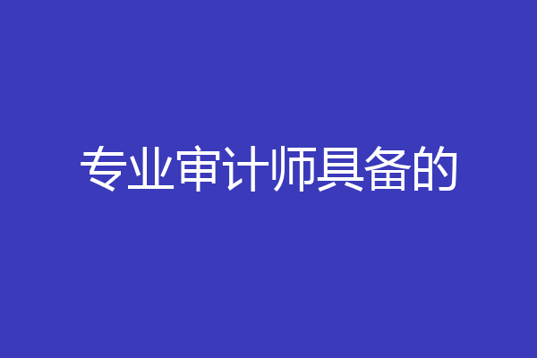 专业审计师具备的