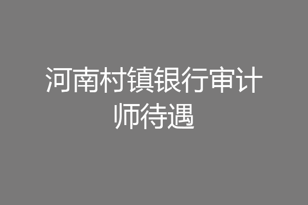 河南村镇银行审计师待遇