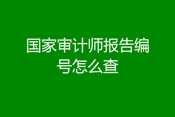 国家审计师报告编号怎么查