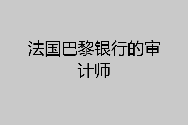 法国巴黎银行的审计师