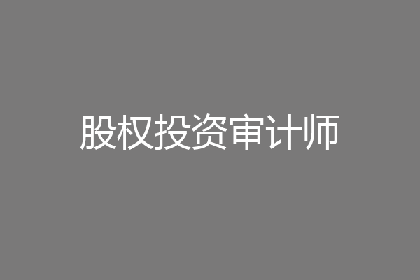 股权投资审计师