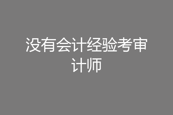 没有会计经验考审计师