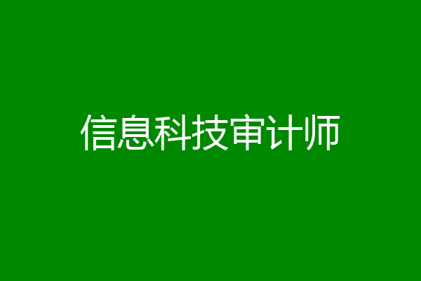 信息科技审计师