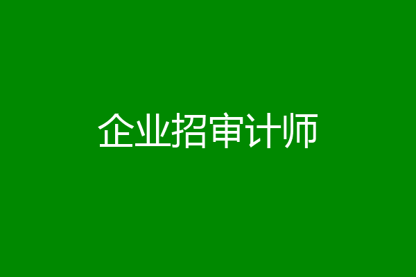 企业招审计师