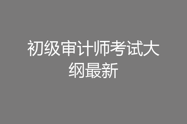 初级审计师考试大纲最新