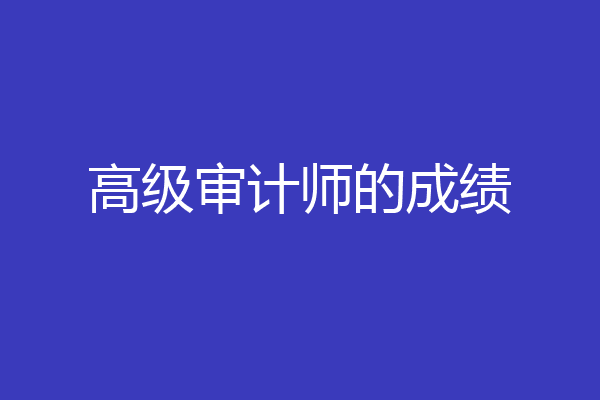 高级审计师的成绩
