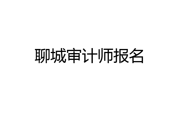 聊城审计师报名