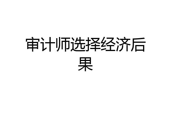 审计师选择经济后果