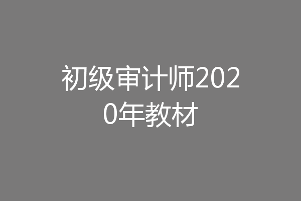 初级审计师2020年教材