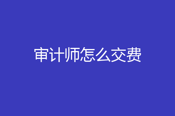 审计师怎么交费