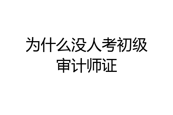 为什么没人考初级审计师证