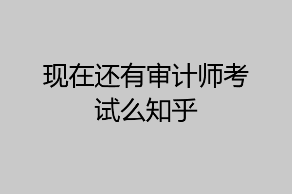 现在还有审计师考试么知乎