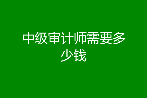 中级审计师需要多少钱