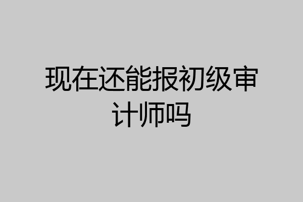 现在还能报初级审计师吗