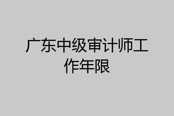 广东中级审计师工作年限