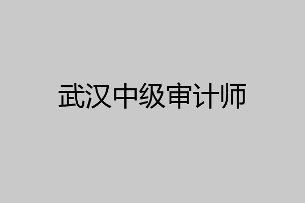武汉中级审计师