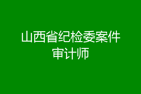 山西省纪检委案件审计师