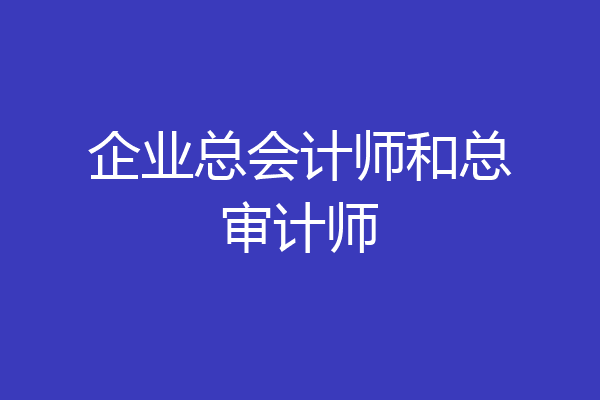 企业总会计师和总审计师