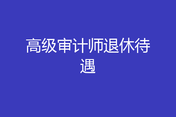 高级审计师退休待遇