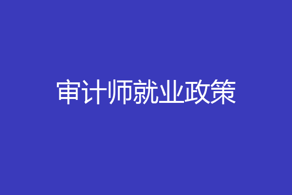 审计师就业政策