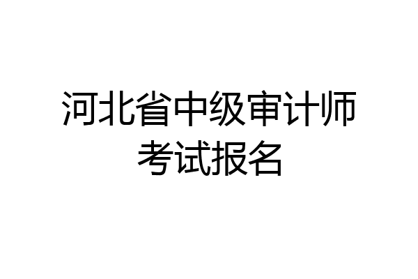 河北省中级审计师考试报名