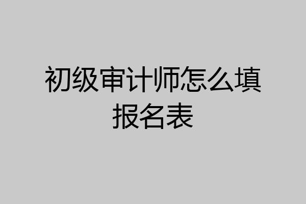 初级审计师怎么填报名表