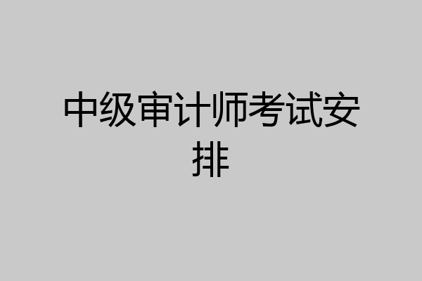 中级审计师考试安排