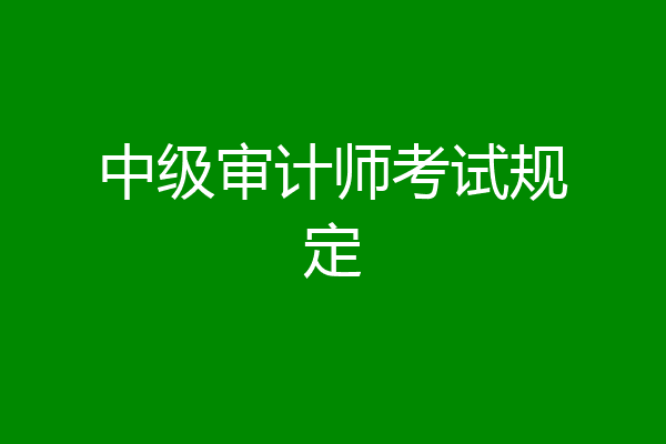 中级审计师考试规定